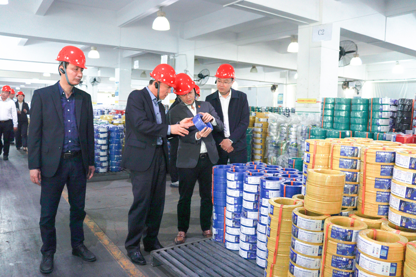 PG国际-创意平台,注册畅享文化之梦!